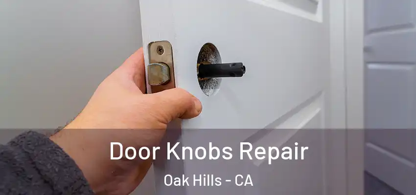  Door Knobs Repair Oak Hills - CA