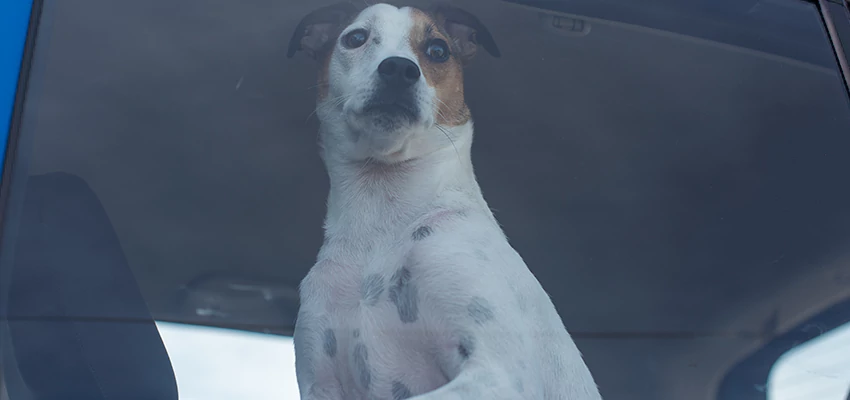 Car Lockout Solutions in Oak Hills, California