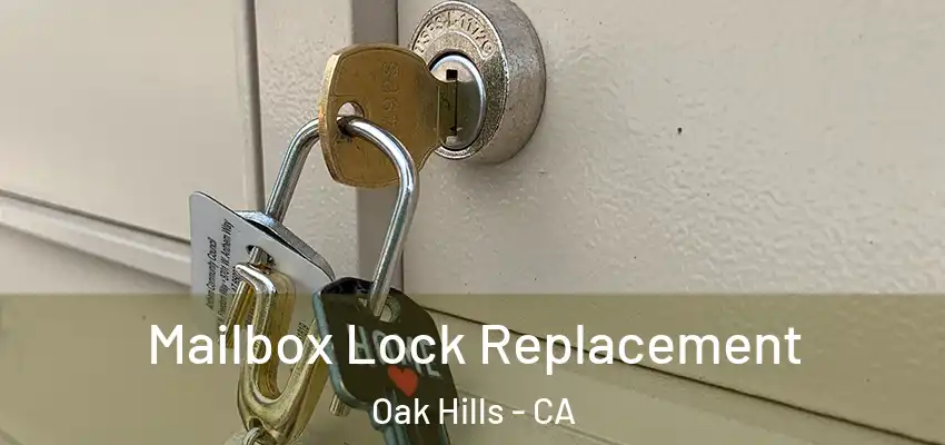  Mailbox Lock Replacement Oak Hills - CA