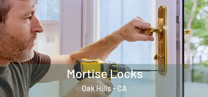  Mortise Locks Oak Hills - CA