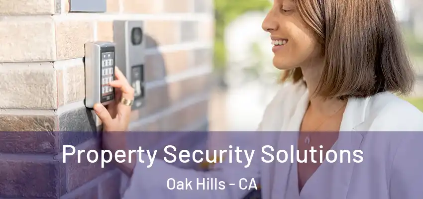  Property Security Solutions Oak Hills - CA